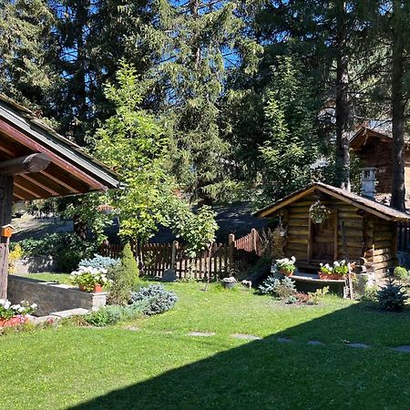 Chalet Blanc Le Duplex Courmayeur Ngoại thất bức ảnh