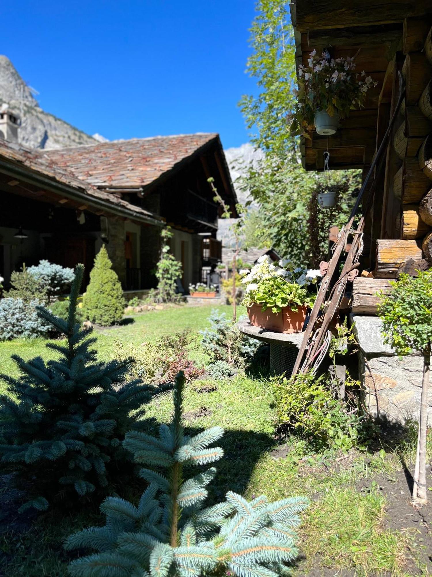 Chalet Blanc Le Duplex Courmayeur Ngoại thất bức ảnh